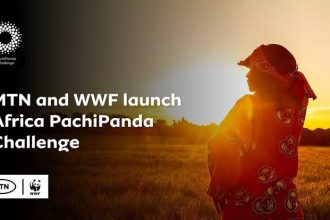 MTN WWF Africa PachiPanda Challenge 2026