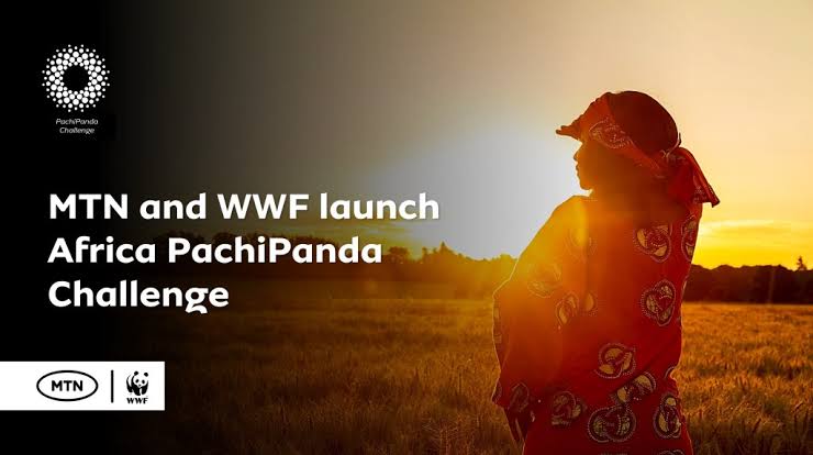 MTN WWF Africa PachiPanda Challenge 2026